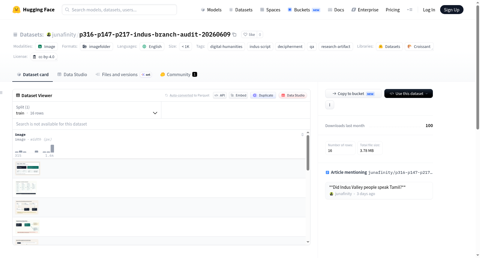 p316-p147-p217-indus-branch-audit-20260609 数据集图片