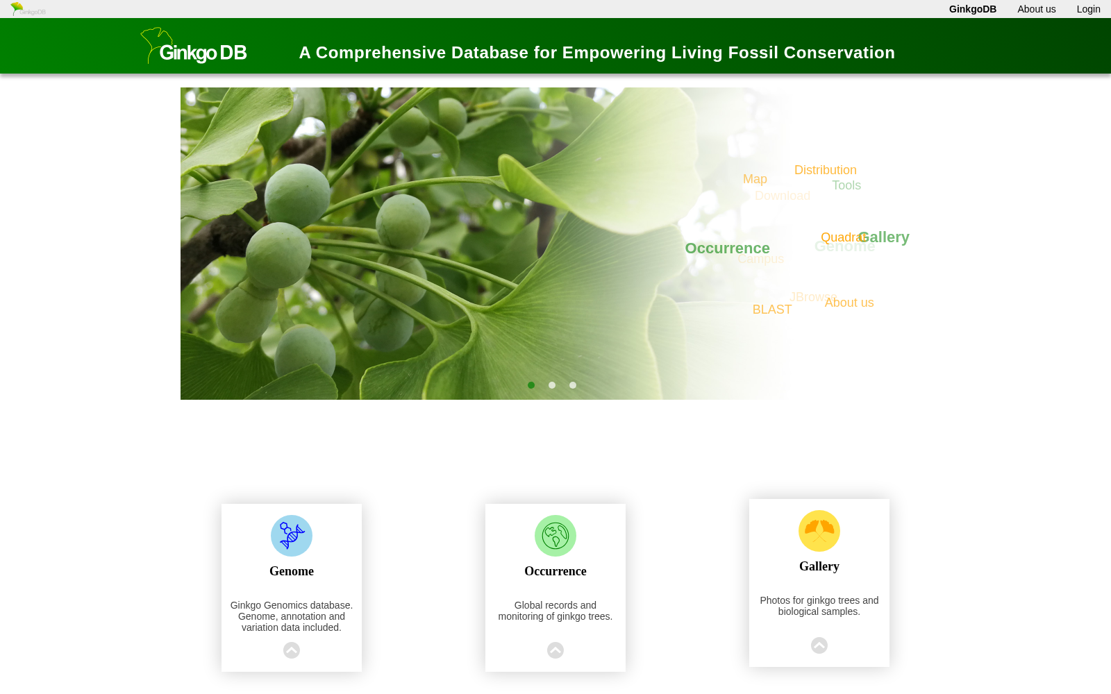 GinkgoDB 数据集图片