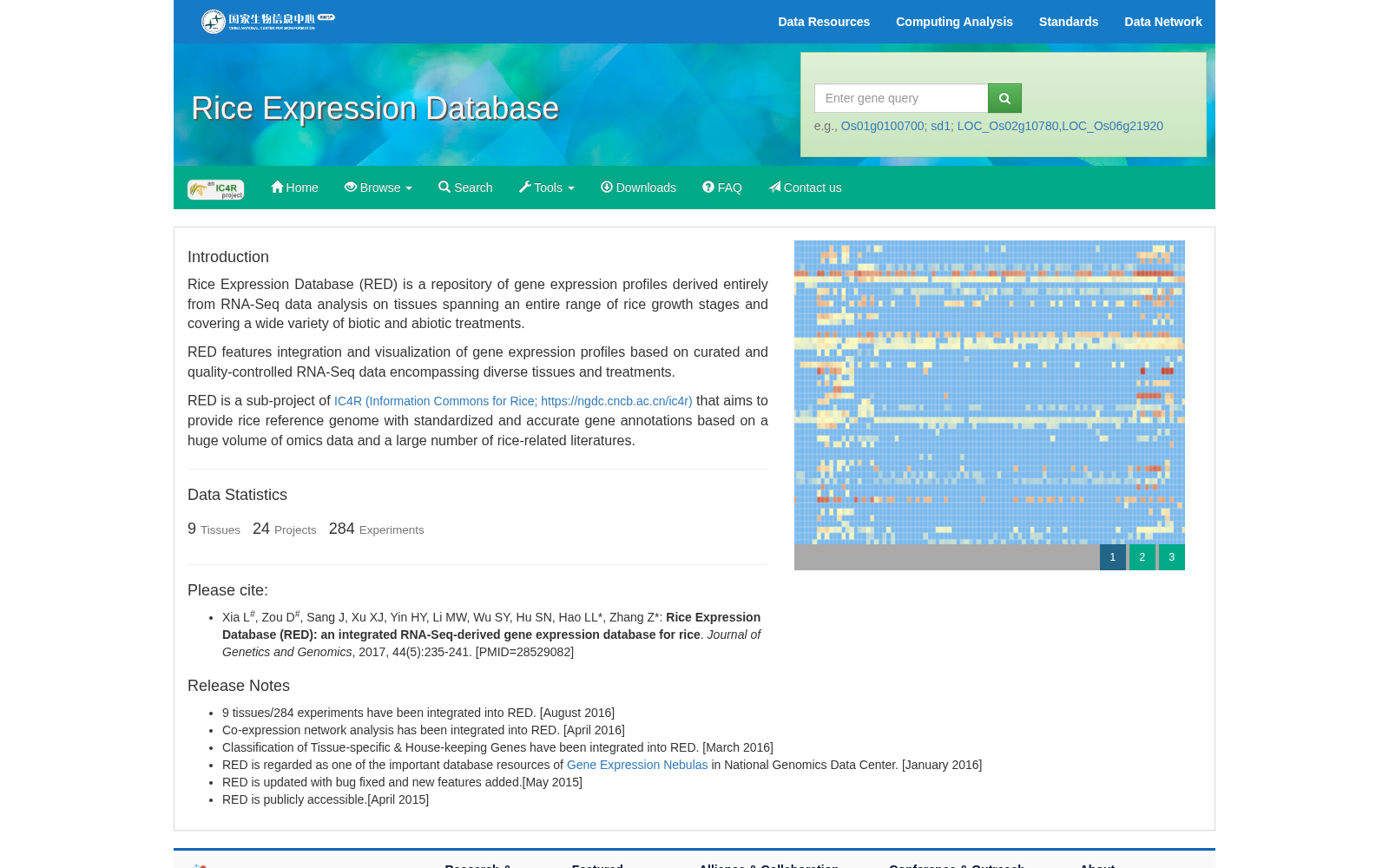 Rice Expression Database 数据集图片