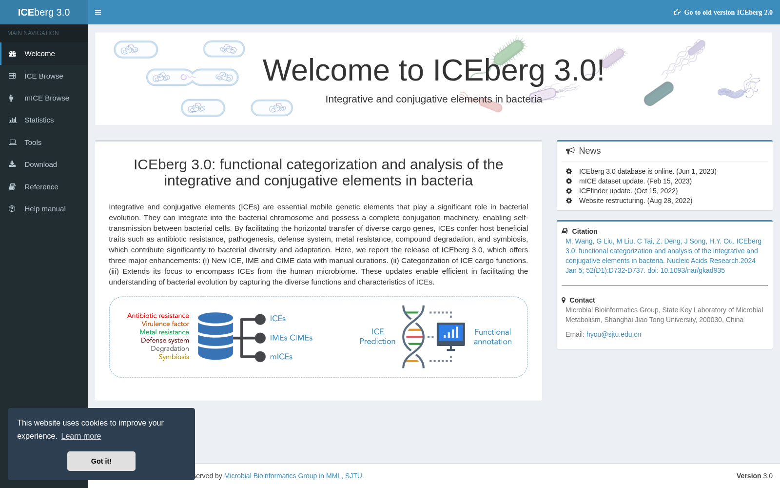 ICEberg 数据集图片