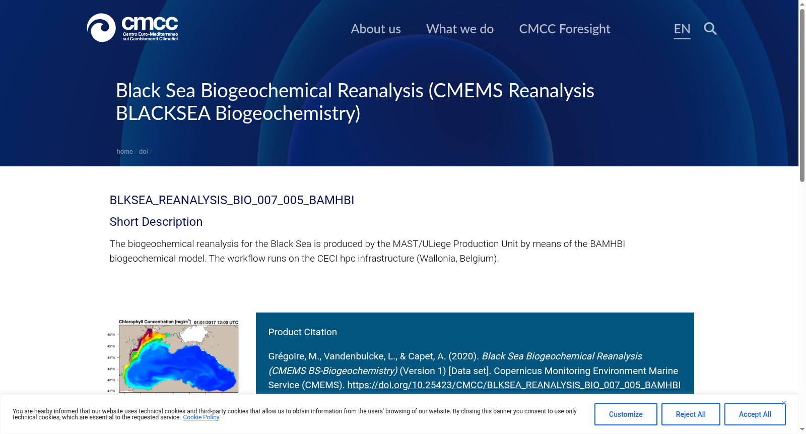 Black Sea Biogeochemical Reanalysis (CMEMS BS-Biogeochemistry) 数据集图片