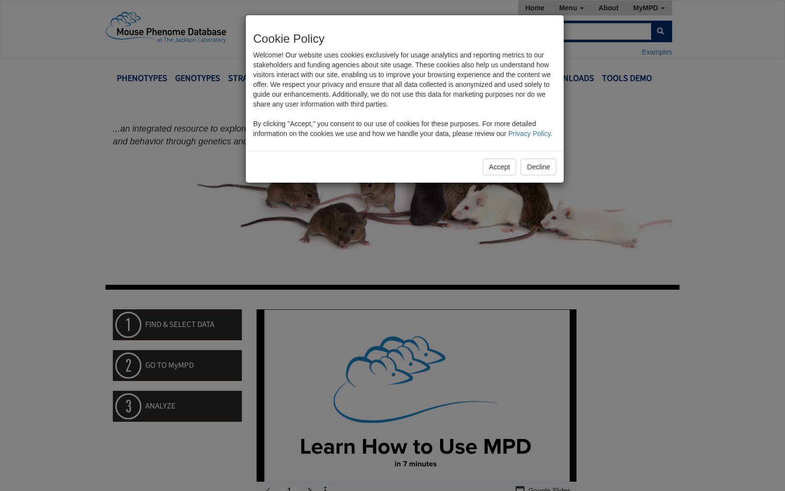 Mouse Phenome Database 数据集图片