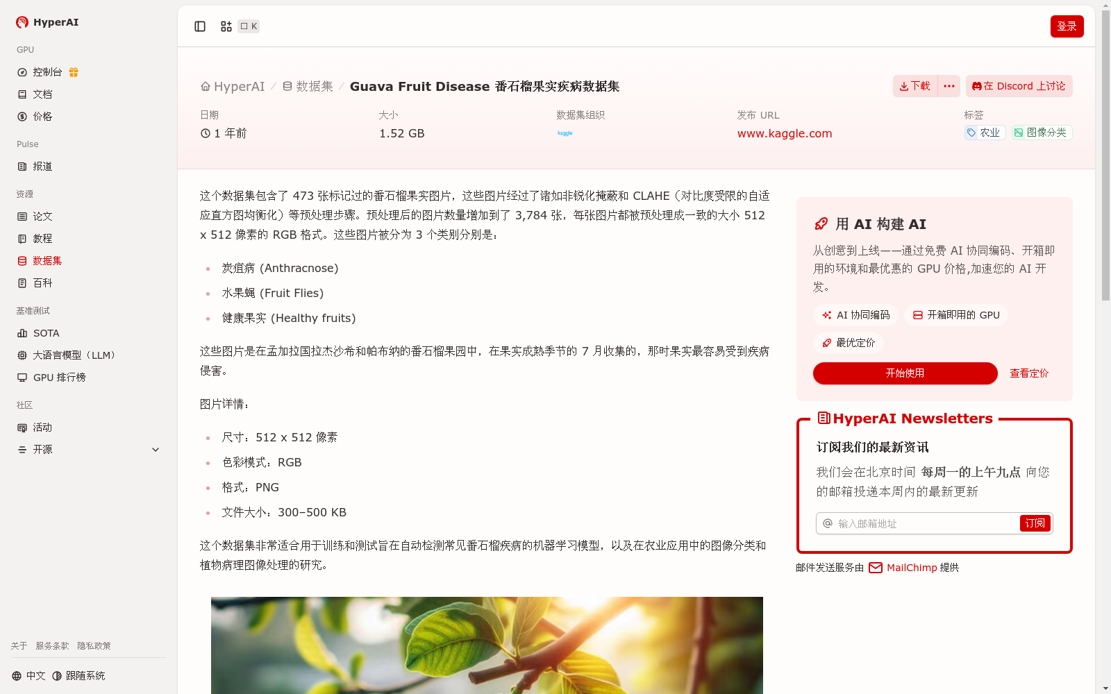 main_image_url