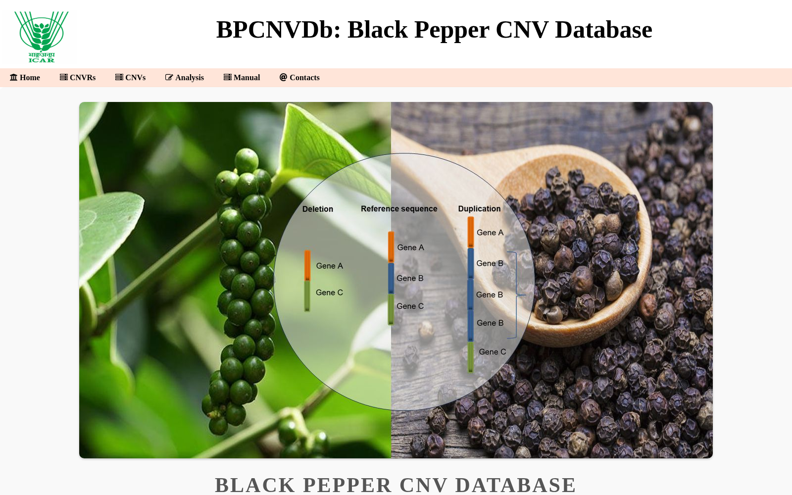BpCNVDb 数据集图片
