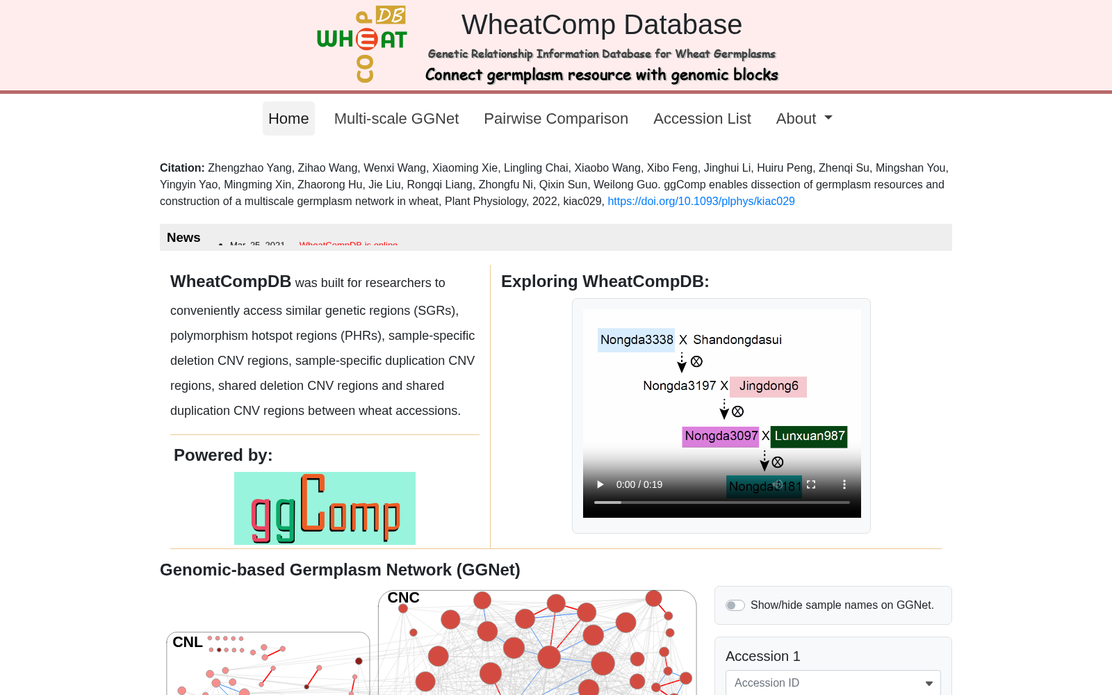 WheatCompDB 数据集图片