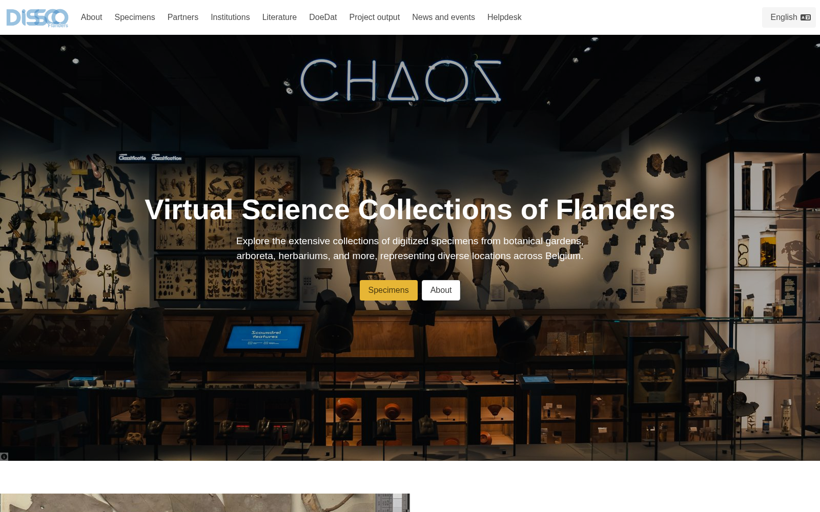 Botanical Collections 数据集图片