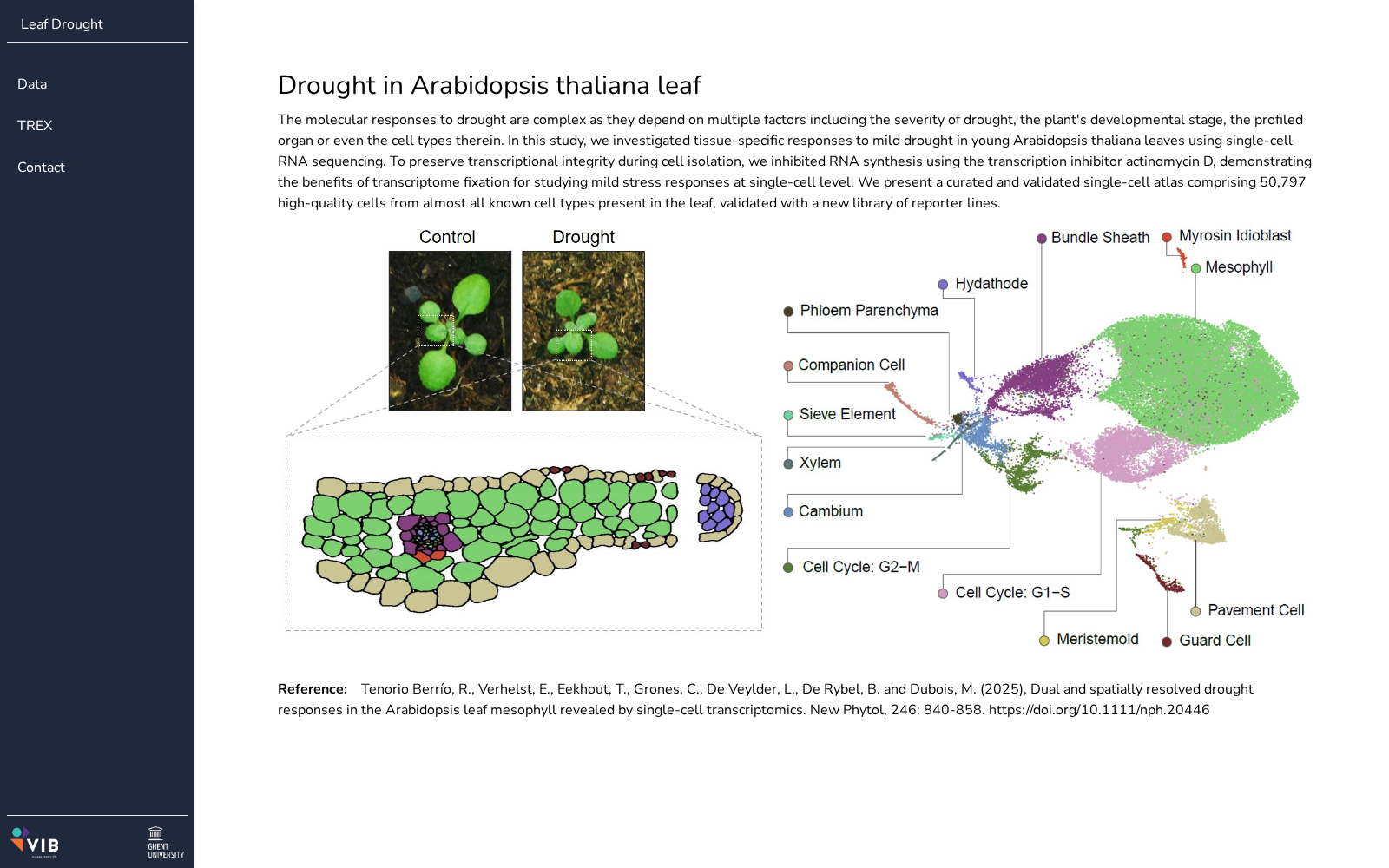 LeafDroughtAtlas 数据集图片