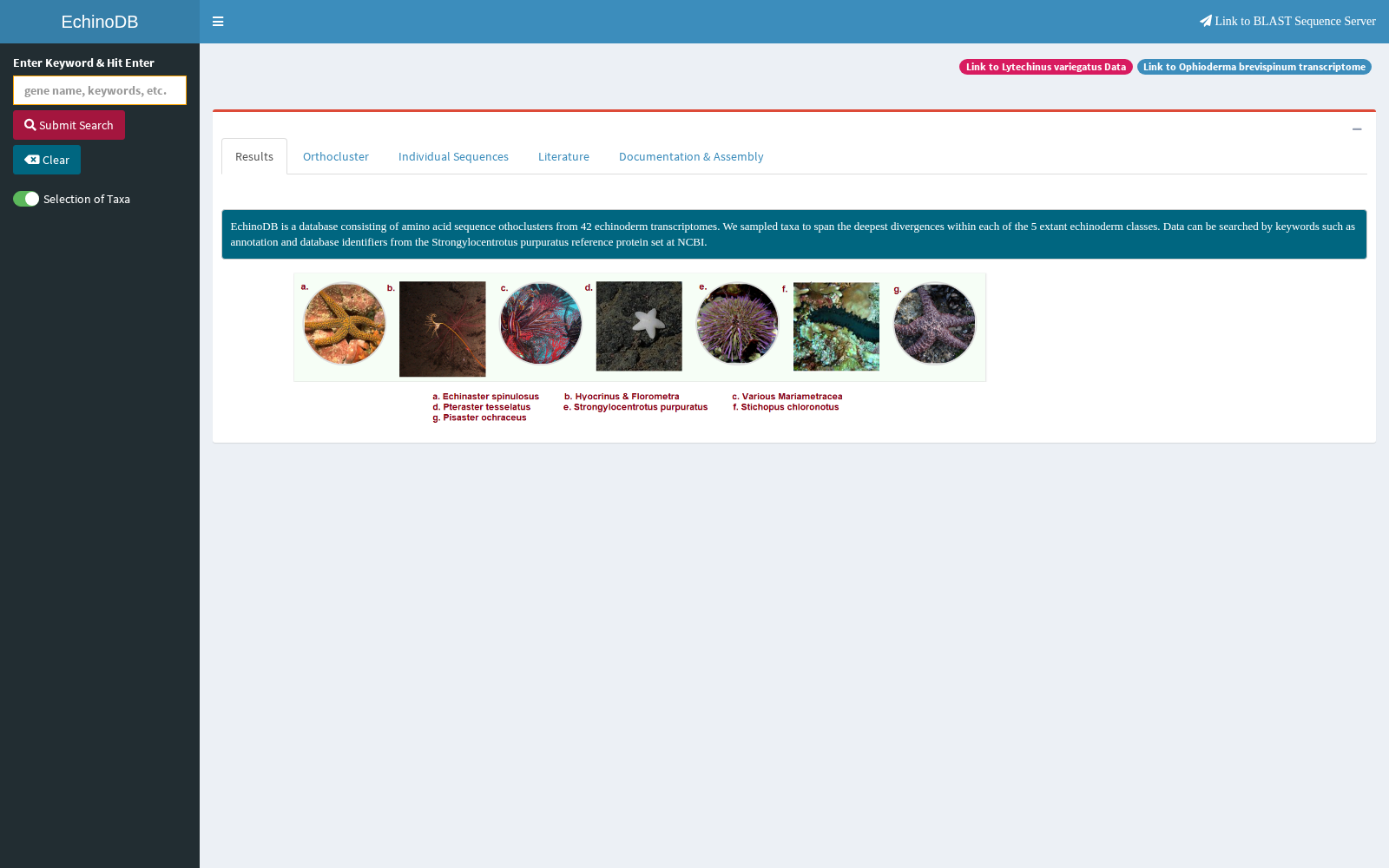 Echinoid Database 数据集图片