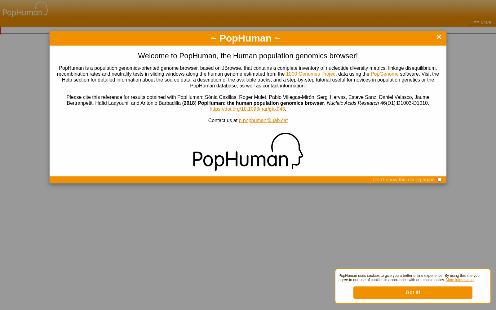PopHuman 数据集图片