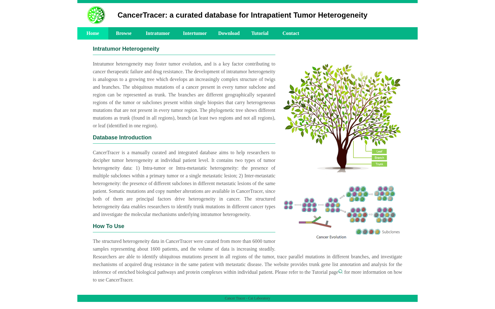 CancerTracer 数据集图片