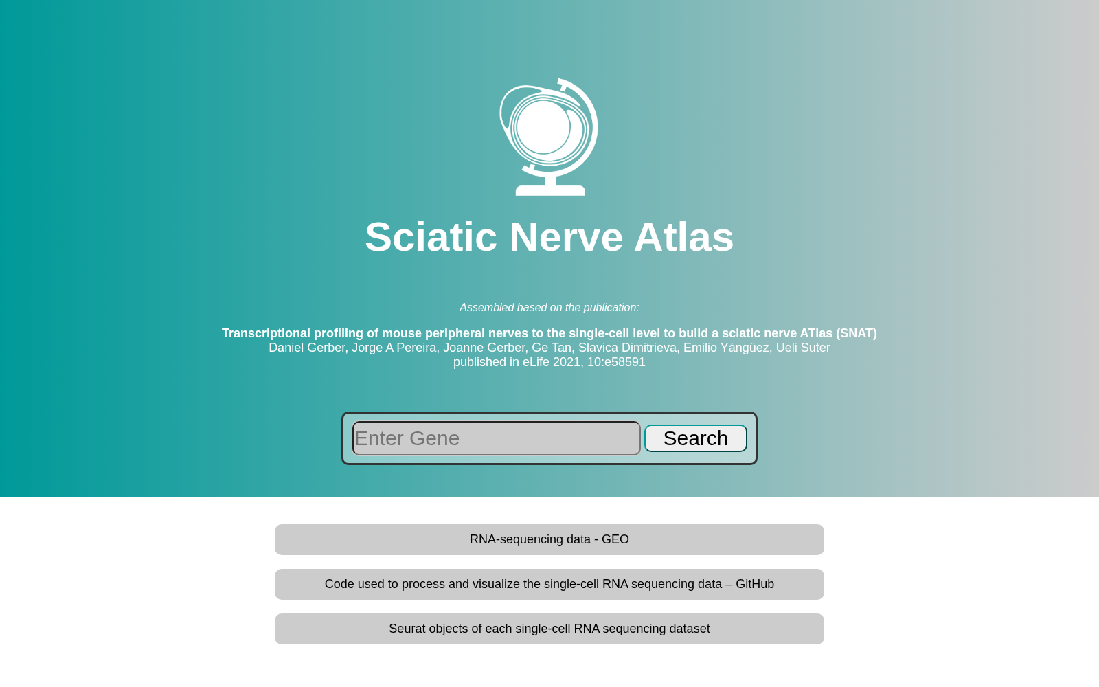 Sciatic Nerve Atlas 数据集图片