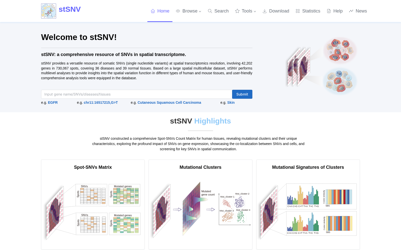 stSNV 数据集图片