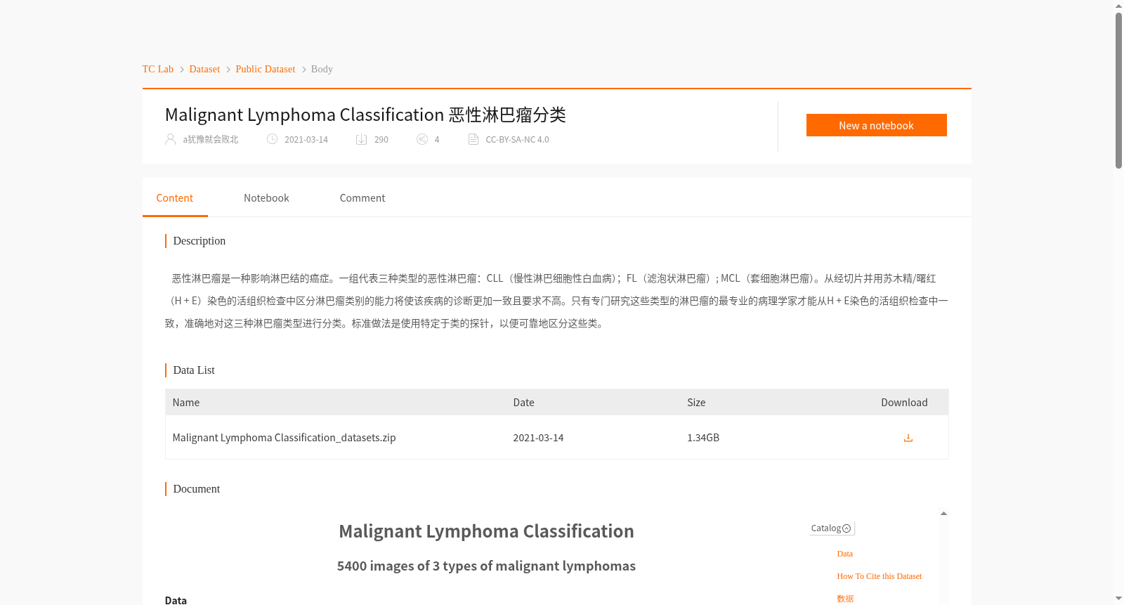 main_image_url