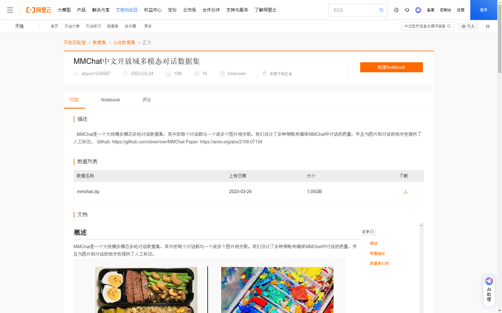 main_image_url