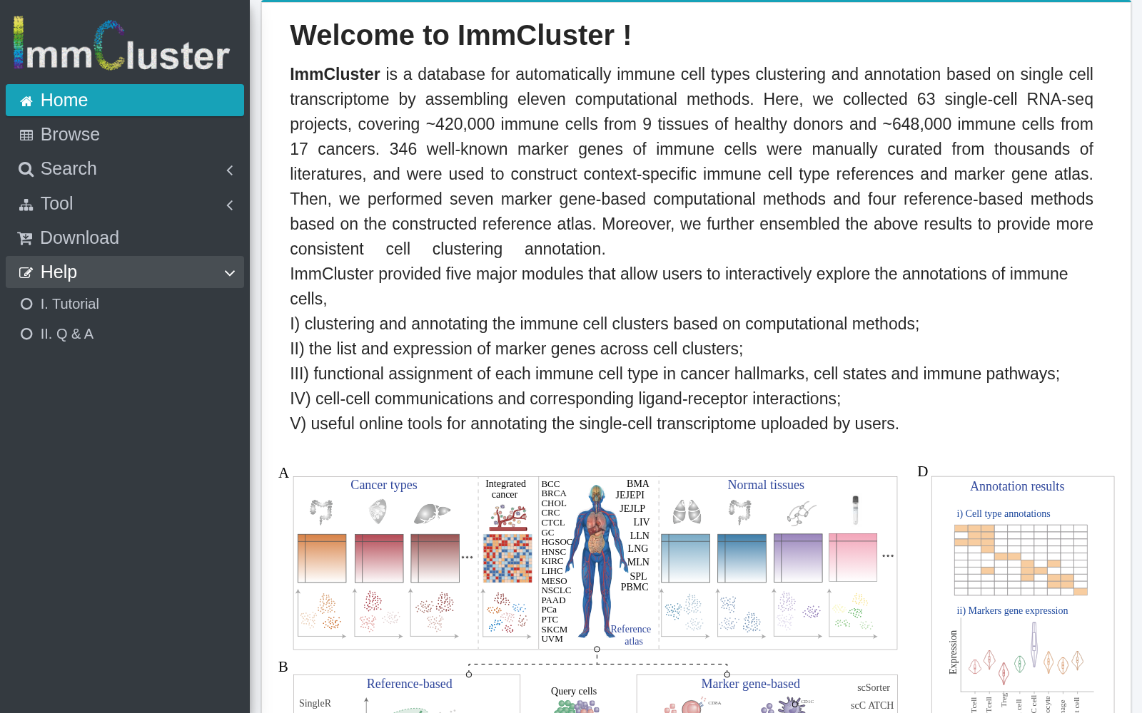 ImmCluster 数据集图片