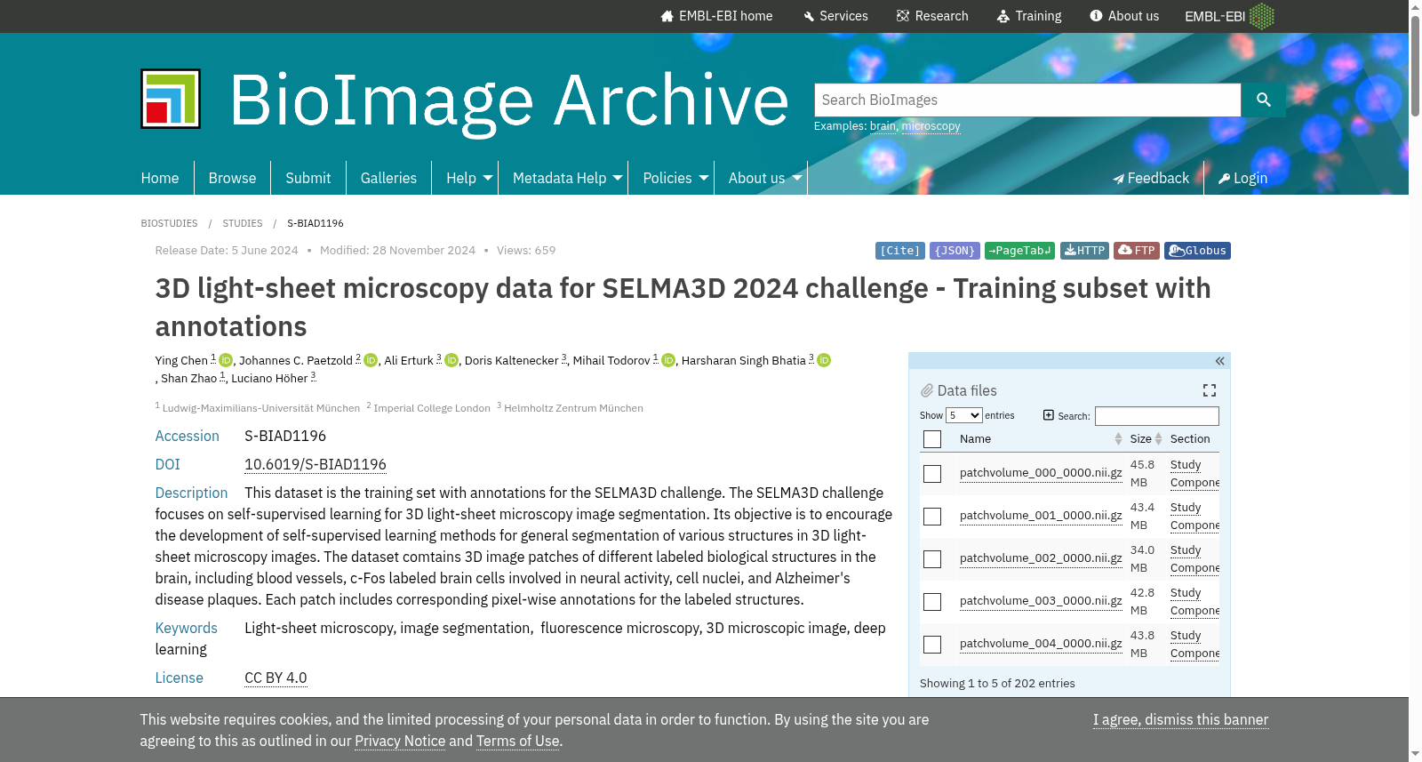 SELMA3D2024 数据集图片